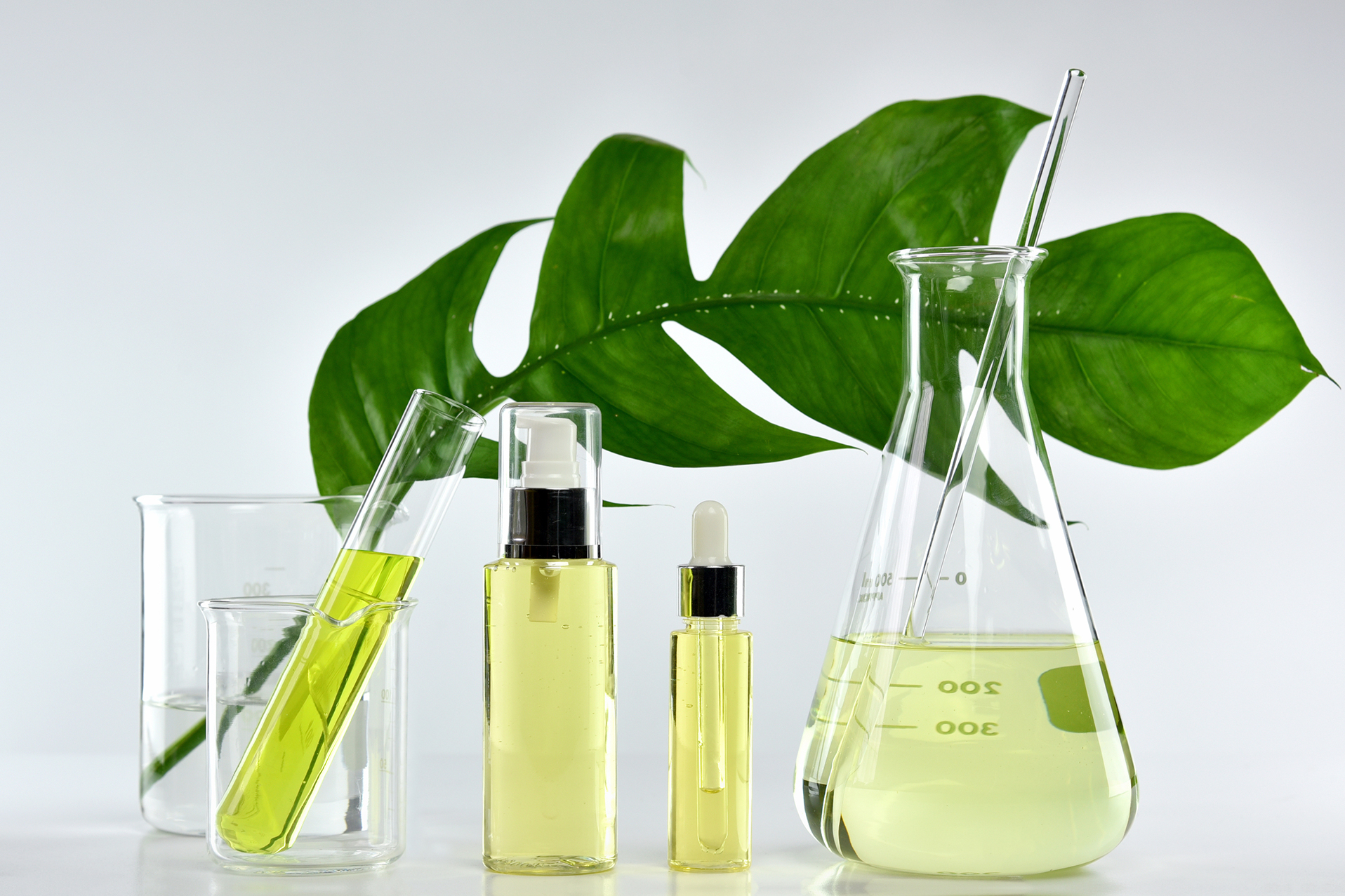 lab